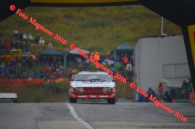 DSC_8461.JPG